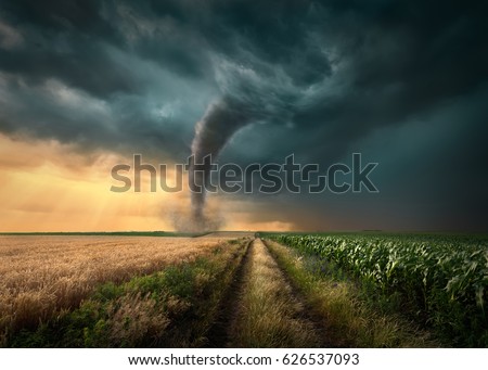 Driving on straight dirt road towards the ominous tornado storm through the cultivated fields of wheat and corn crops. Foto stock © 