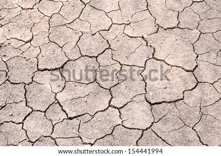 drought land used to be rice field in Asia