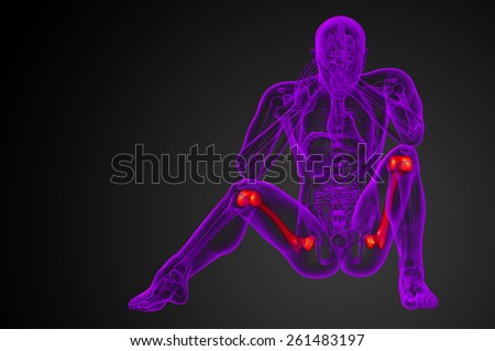 3d render medical illustration of the femur bone - front view