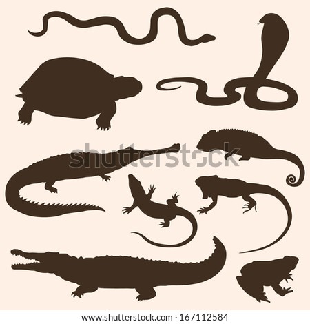 vector set of reptiles and amphibians silhouettes