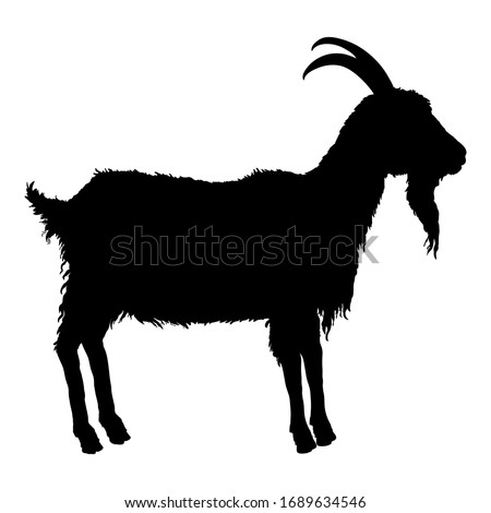 Vector Silhouette of Goat. Side View He-goat Illustration