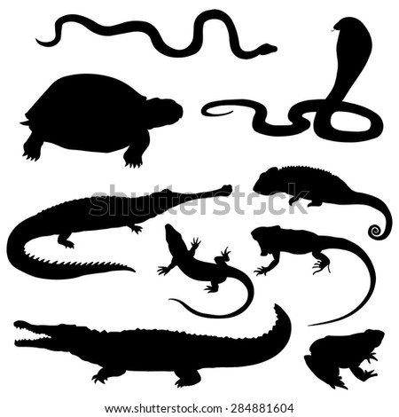 Vector Set of Black Reptiles and Amphibians Silhouettes