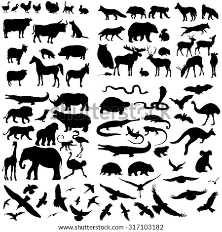 Vector Big Set of Animals Silhouettes. Mammals, Reptiles, Amphibia, Birds, Bats and other.