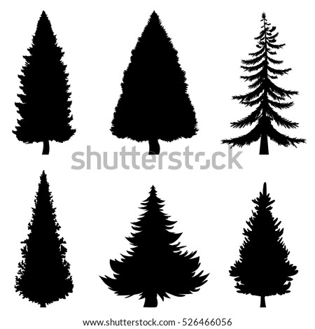 Vector Set of Black Silhouettes of Pine Trees on White Background