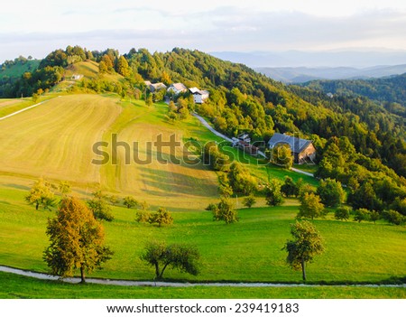 trees and houses on hill with sunlight