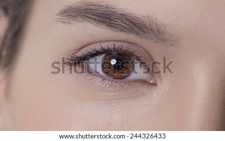 Brown eye of an attractive young adult woman