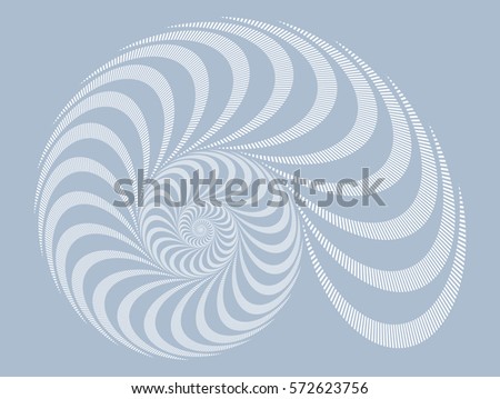 a snail shell spiral pattern in soft gray shades
