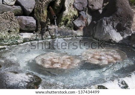 Hot natural underground thermal water is used to boil chicken eggs in some volcanic activity area.