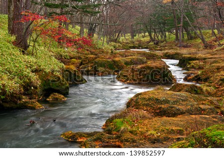 Mystical landscape of River flows on fairy forest at rainy late autumn season