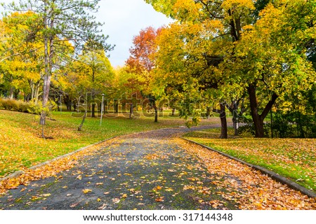 Beautiful Pedestrian path in Canada in the fall. Colorful Maple Leaves can be seen on the ground and on trees either side of the path.