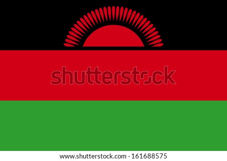 original and simple Malawi present flag isolated vector in official colors and Proportion Correctly