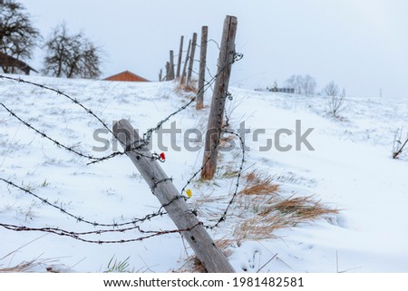 Similar – Foto Bild Raureif am Stacheldraht und am Maschendrahtzaun vor blauem Himmel