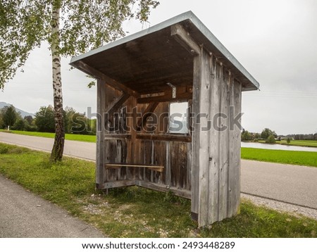 Similar – Image, Stock Photo no stopping under birch trees