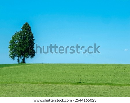 Similar – Foto Bild Weide mit zwei Bäumen vor Berg