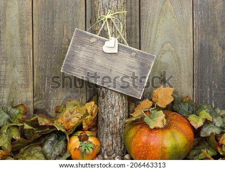 Blank wood sign hanging on tree by fall foliage and pumpkins