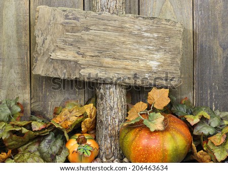 Weathered blank sign hanging on tree by autumn leaves and pumpkins