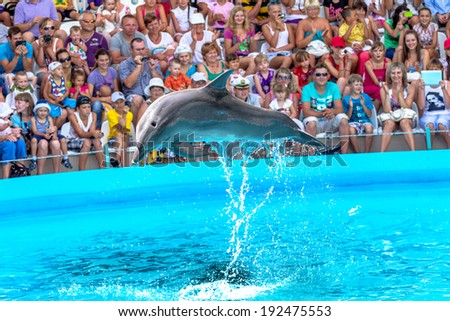 ODESSA, UKRAINE - JUNE 10, 2013: Dolphins on creative entertaining show at the dolphinarium with the full of visitors show amazing tricks. Spectators happily delighted June 10, 2013 in Odessa, Ukraine