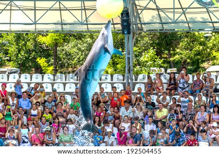 ODESSA, UKRAINE - JUNE 10, 2013: Dolphins on creative entertaining show at  dolphinarium with  full house of visitors show amazing tricks. Spectators happily delighted June 10, 2013 in Odessa, Ukraine