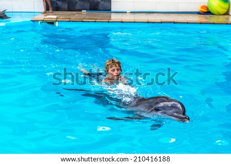 Happy handsome young boy laughing and swimming with dolphins in the blue swimming pool on a bright sunny day on the occupation of the dolphin