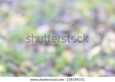 Defocused view of autumn with bright and soft gold, orange and green flowers and beautiful bokeh blurred, as the basis for an unusual artistic abstract background romantic design