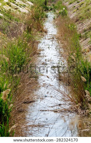 Dry irrigation canals in the Crimea, 2015. Ukraine shut down the supply of water Crimea. Drought. Environmental disaster in agriculture. State terrorism.