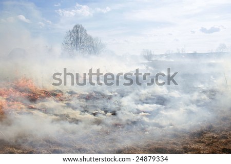 meadow fire sends out large smoke clouds after burning a grass wastelands, natural disaster, clouds of smoke