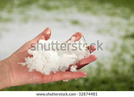 hail after storm on grass, pea sized hail fell on meadow, many hail on hand