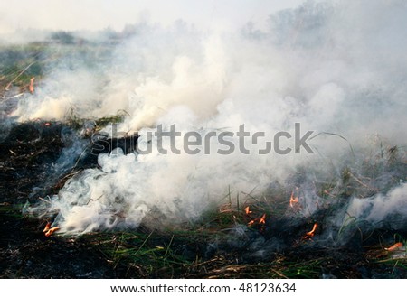 meadow fire sends out large smoke clouds after burning a grass wastelands, puffs of acrid thick smoke