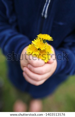 Similar – Image, Stock Photo Child holding dandelion