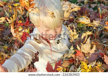 A young boy child is playing outside on an Autumn day, jumping in and throwing colorful fall leaves.