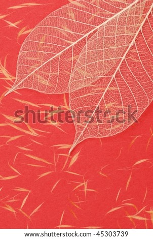Dried leaf skeleton on handmade red paper for use as background