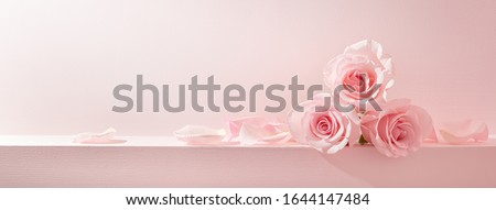 Similar – Foto Bild Pastellrosa Rosen im Garten