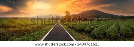 Similar – Image, Stock Photo Tea plantation in Malaysia