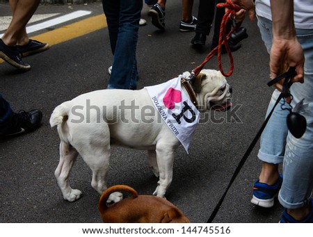 BOLOGNA, ITALY - JUNE 29 - Gay Pride on June 29, 2013. Dog wearing parade flag.