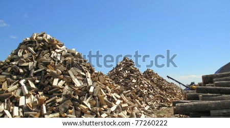 Tree logs and tree trunks stacked and piled for firewood