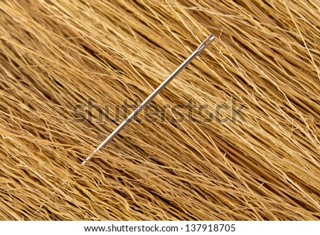 Sewing needle protruding in a haystack