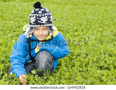 Cute young boy in a clover field searching for four leaf clover
