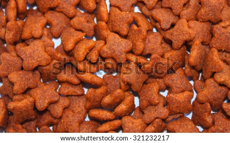 Close up orange food dog  background