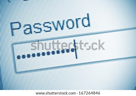Password box in Internet Browser on Computer Screen