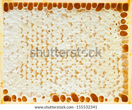 natural honeycomb wax texture