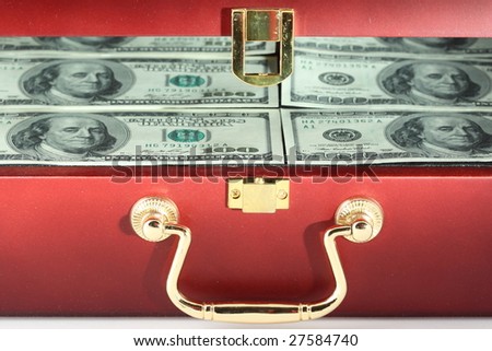 case with money closeup