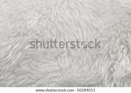 White Fur Stock Photo 50284051 : Shutterstock