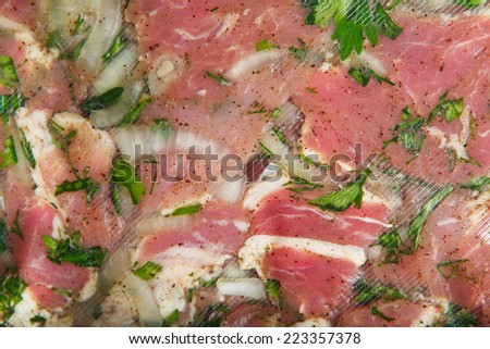 barbecue meat in vacuum marinade bag