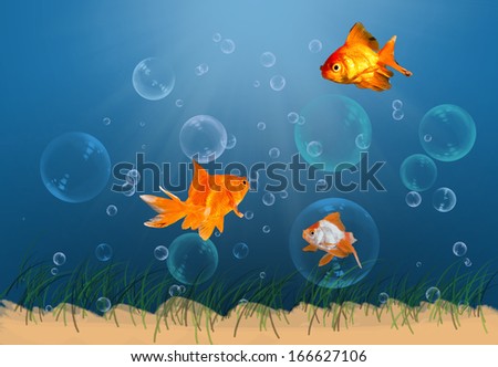 gold fish trying to pop a bubble inside a fish tank