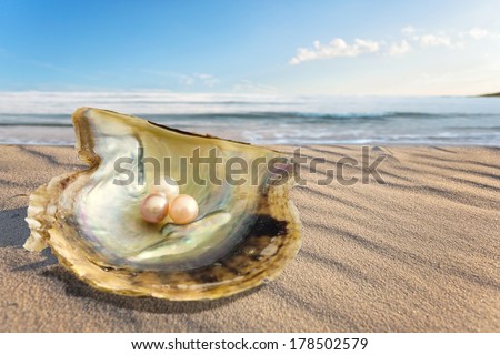 pearl oyster with three pearls on the beach