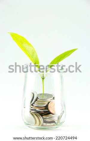 Growing plant with coin money.