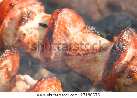 Shish kebab preparation on a brazier. Outdoor picnic. Close up.