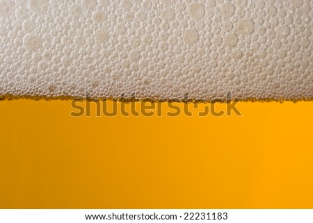 Abstract background from fresh foamy beer