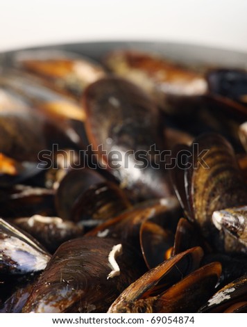 A picture of mussels on a frying pan