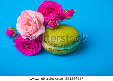 spring color macaroon with roses background for valentines mother woman day easter with love